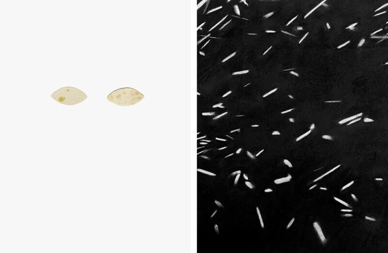 Raquel Bistuer, Diptych 3